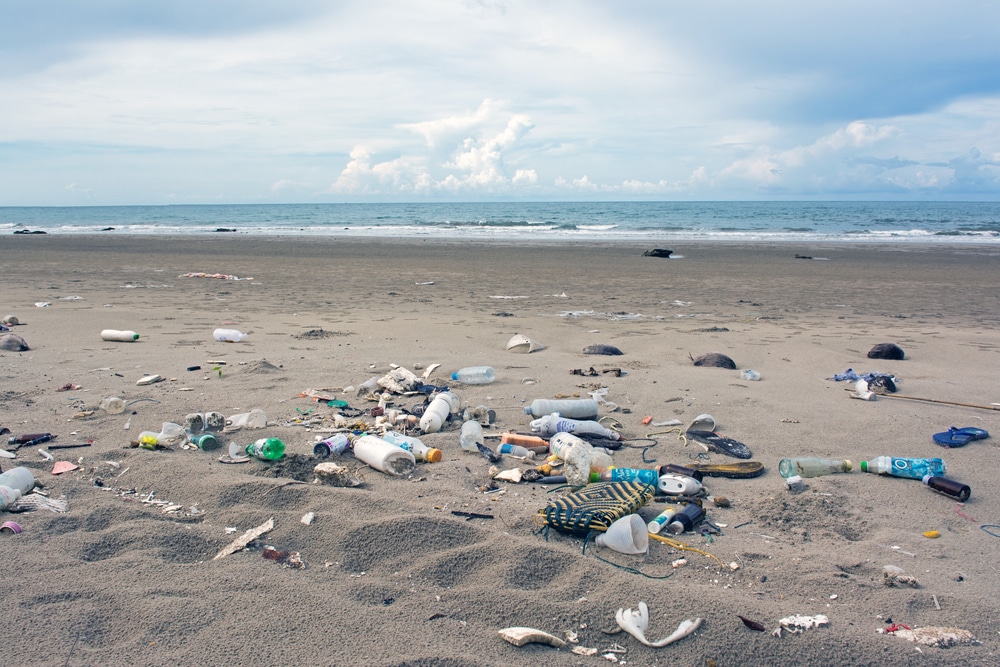 Garbage on the beach