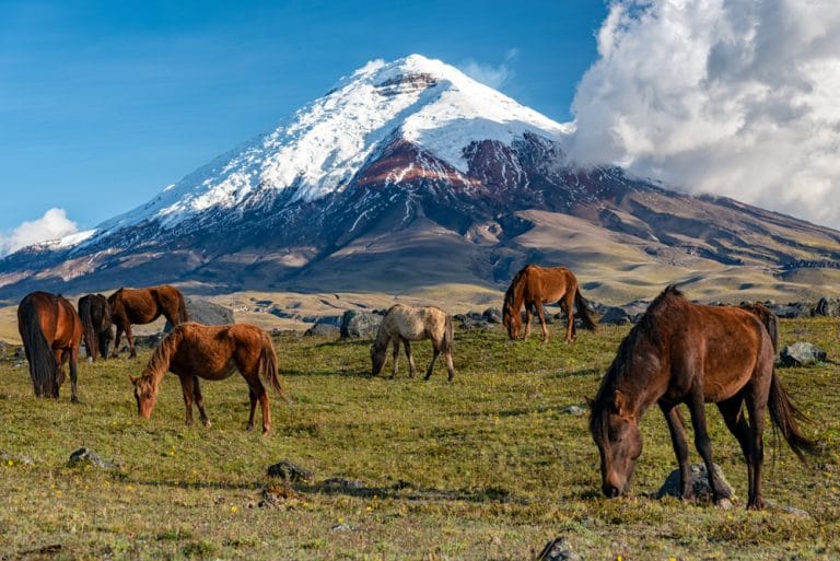 Ecuador – Bergsteigen im Hochgebirge der Anden