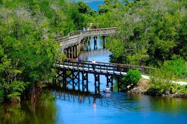 Walking Trail Boardwalk Robinson Naturschutzgebiet Bradenton, Florida