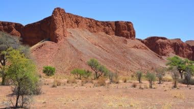 Natur im Namib Naukluft Nationalpark