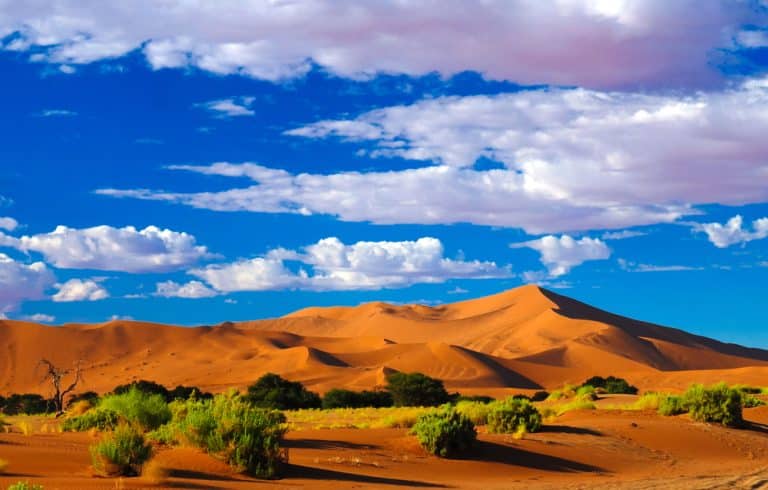 Namib-Naukluft National Park: African eventing in Namibia