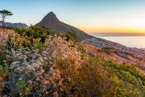 Der Lion's Head (= Löwenkopf) des Tafelbergs