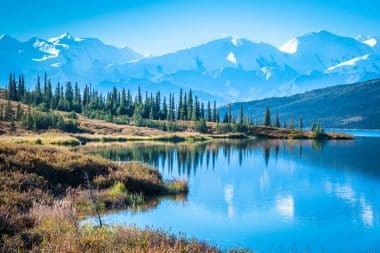 Denali Nationalpark in Alaska