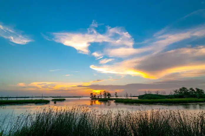 Mississippi in Louisiana