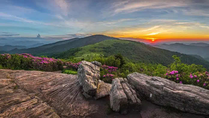 Roan Mountain State Park in Tennessee