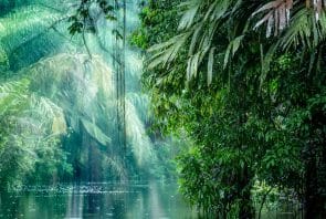 Nationalpark Tortuguero