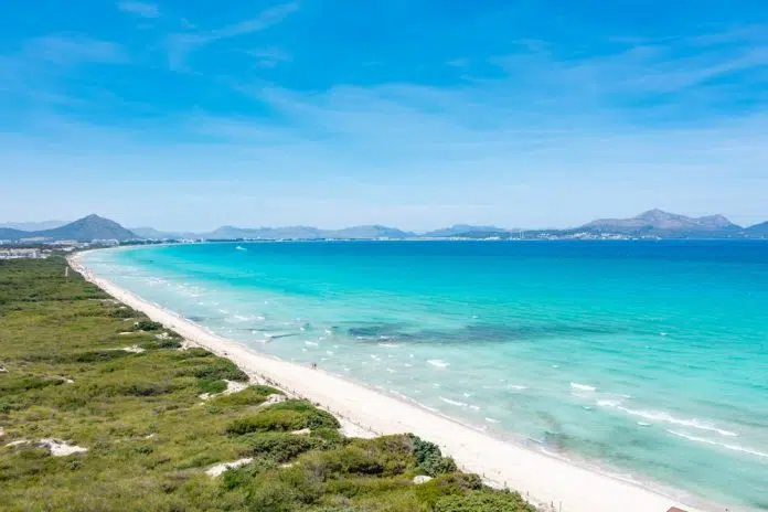 Blick auf die Playa de Muro