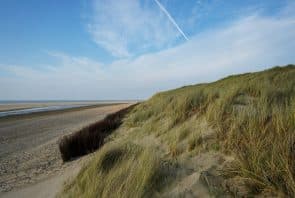 Strand und Dünen auf der Nordseeinsel Spiekeroog.
