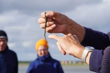 Wadden Guide Wadden Hike