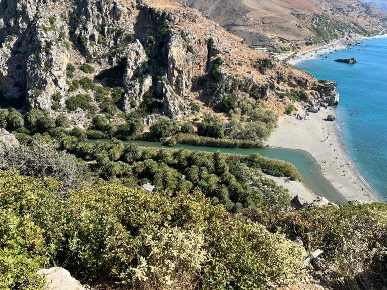 Palm beach Preveli in Crete