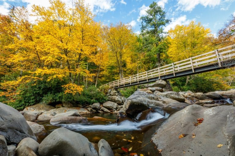 The most popular national parks in the USA