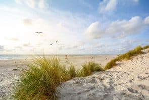 Strand in Henne