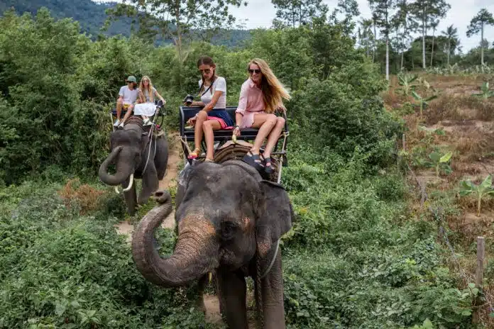 Reiten auf einem Elefanten