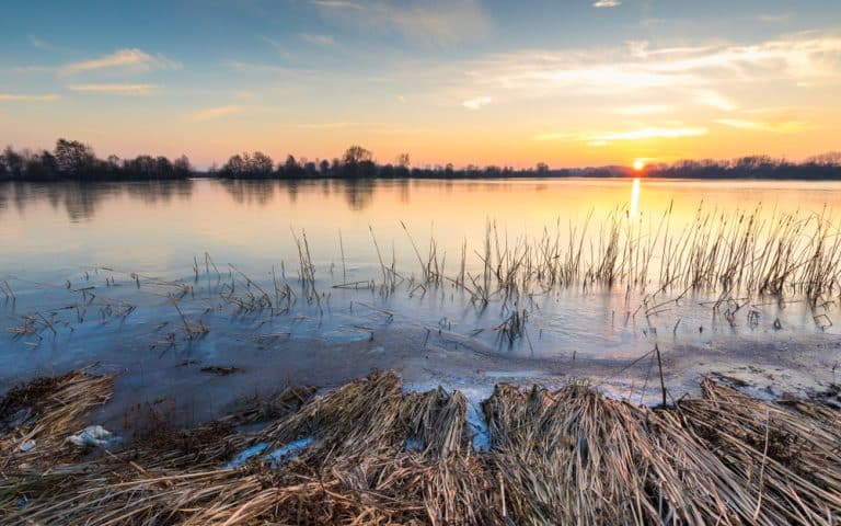 Adventure and relaxation on the Maasplassen near Roermond