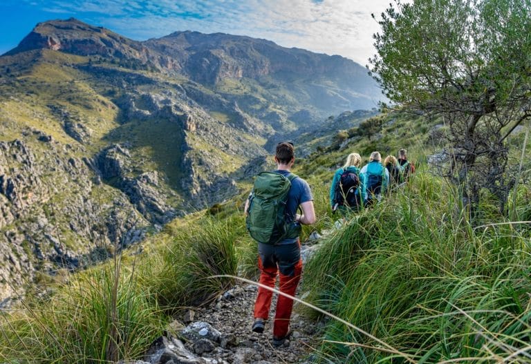 Hiking in Mallorca between coves, mountains and olive groves