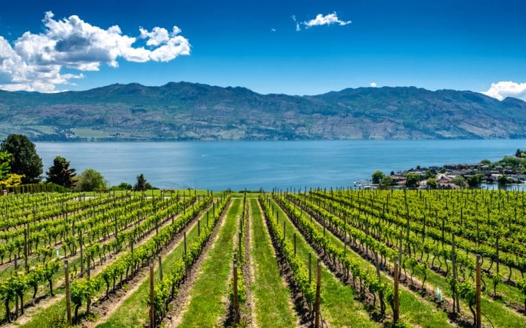 Kelowna in Canada – A paradise for nature lovers and wine connoisseurs