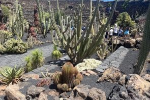 Kaktusgarten in Lanzarote