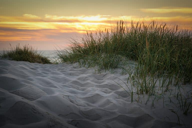 Entdecke die natürliche Schönheit von Bjerregard: Ein Traumziel an der dänischen Nordseeküste