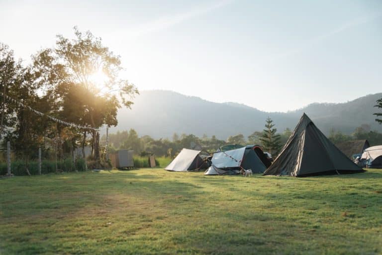 Camping in Frankfurt: Top 10 campsites in and around Frankfurt