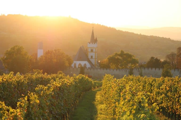 Discover the magic of the Ways of St. James in Germany – hiking and enjoying!