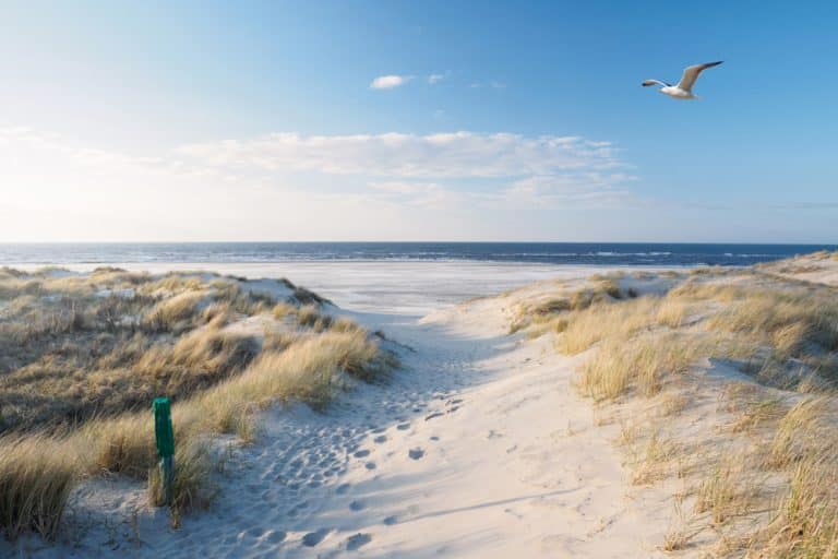 The most popular German North Sea islands