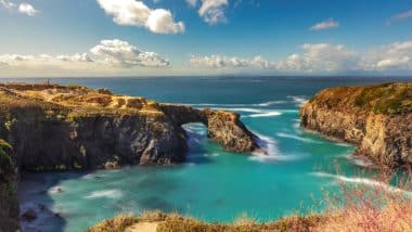 Gorgeous Ocean Views at Mendocino