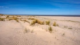 Die Dünen von Soulac sur Mer