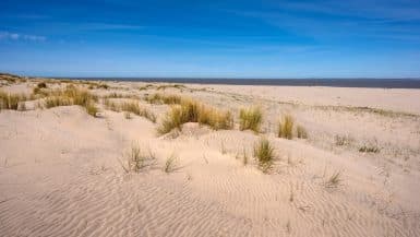 Die Dünen von Soulac sur Mer