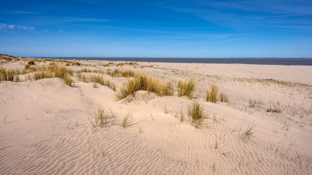 Die Dünen von Soulac sur Mer