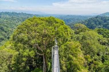 View of Ulu Temburong National Park