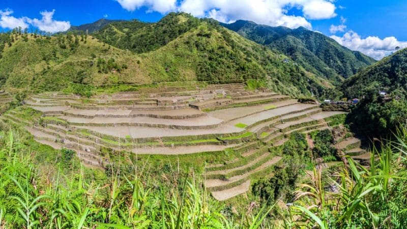 Reisterrassen in der Nähe von Banaue, Luzon