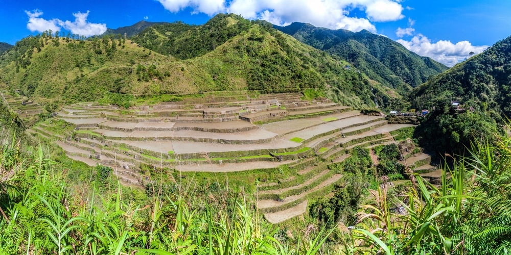 Reisterrassen in der Nähe von Banaue, Luzon