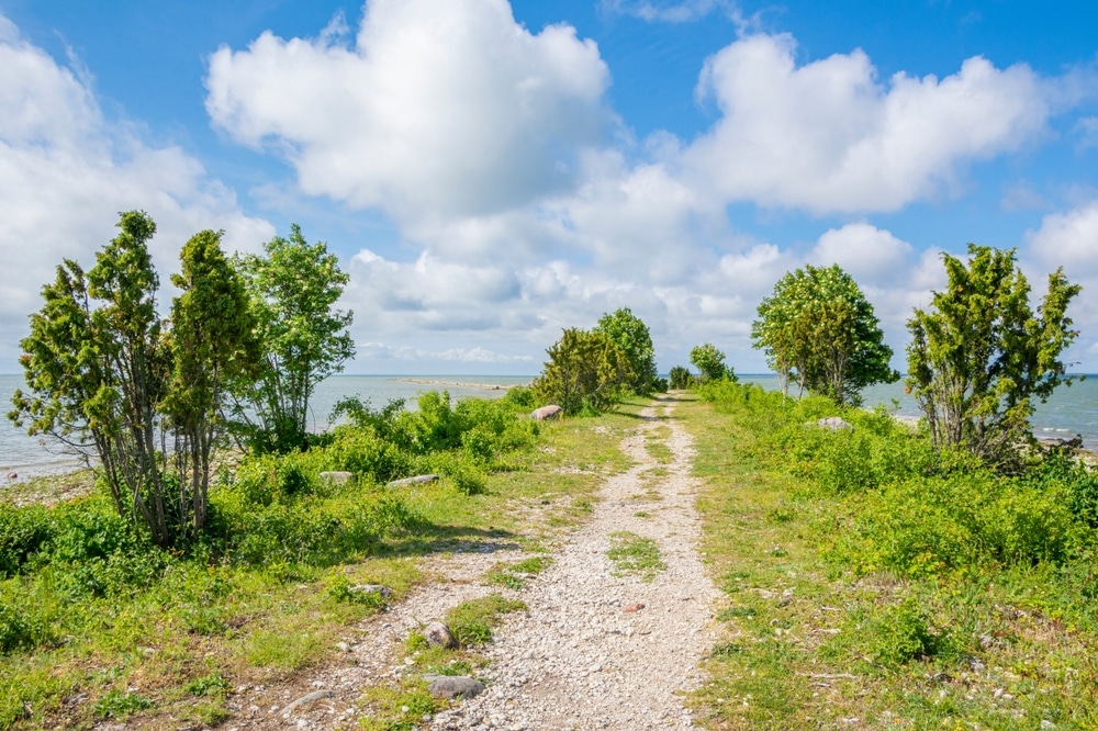 Tolles Naturbild der Insel Hiiumaa in Estland