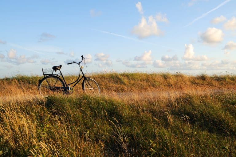 Norddeutschland entdecken: Die schönsten Regionen für eine Radtour