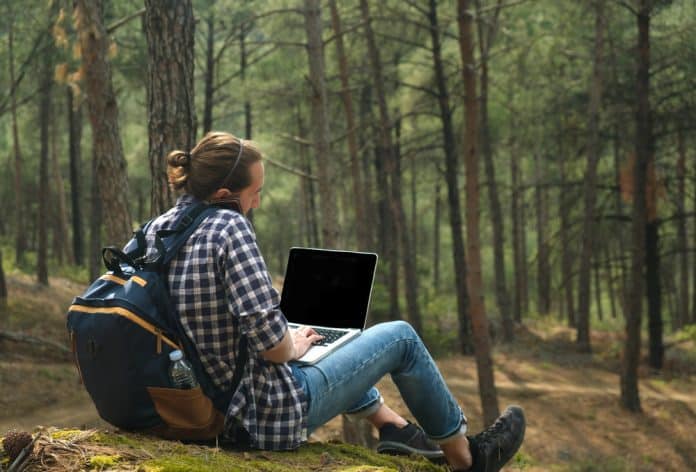 Mann arbeitet im Wald am Laptop