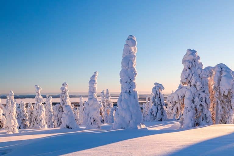 Abenteuer im hohen Norden: Ein Blick auf die Aktivitäten in Lappland