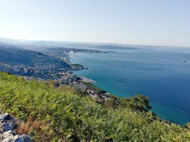 Blick auf Triest