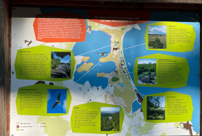Infotafel Baumwipfelpfad Rügen