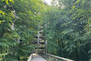 Baumwipfelpfad in Prora