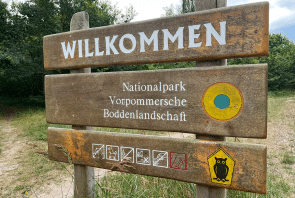 Boddenlandschaft auf Hiddensee in Mecklenburg Vorpommern