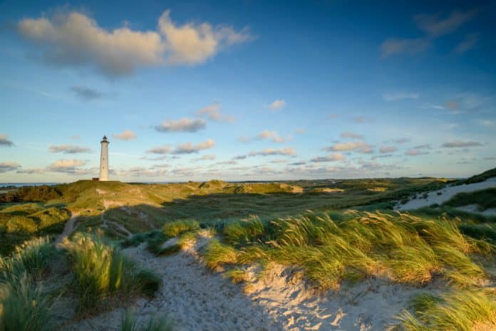 Panoramic,View,Of,Lyngvig,Lighthouse,On,Wide,Dune,Of,Holmsland Panoramasicht auf das Leuchtturm von Lyngvig auf der breiten Düne von Holmsland Klit an der Westküste Jutlands, von Hvide Sande, Dänemark
