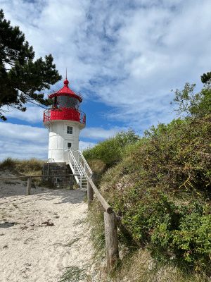 Leuchtturm in der Boddenlandschaft auf Hiddensee kurz vor Neuendorf