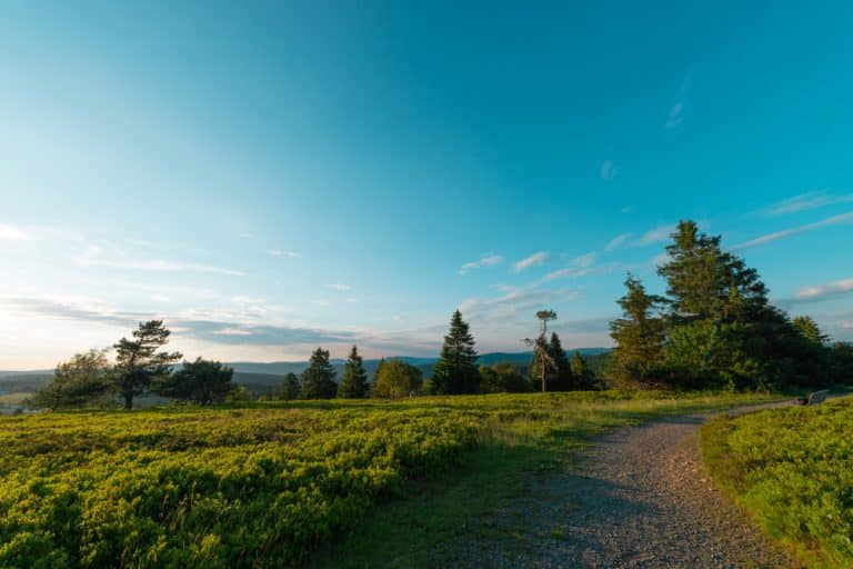 Wandern im Sauerland – Inspiration, Tipps und unvergessliche Erlebnisse inmitten der Natur