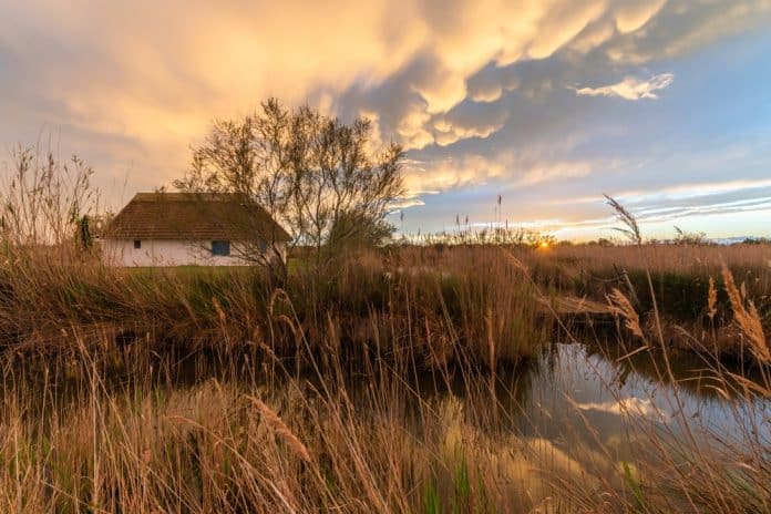 Thatched,Hut,Gardian's,Hut,In,The,Marshes,At,Sunset.,Saintes Wunderschöne Natur rund um Saintes Maries de la Me in der Camargue