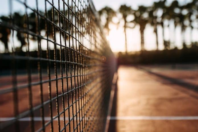 Nahaufnahme von Tennisnetz. Im Hintergrund sind Palmen zu sehen