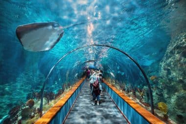 Wasserwelt im Loro Parque auf Teneriffa
