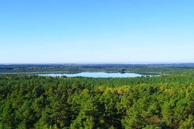 Blick auf den Müritz Nationalpark