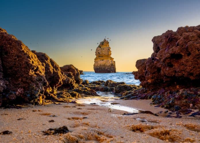 Ein felsiger Strand bei Sonnenuntergang mit Felsformationen in der Ferne, klarem Himmel und sanften Meereswellen – eine der bekanntesten Sehenswürdigkeiten von Lagos an der Algarve. Im Vordergrund sind Sand und Felsen zu sehen, während Vögel auf der entfernten Felsformation sitzen.